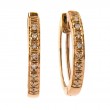 DIAMOND EARRINGS (RG)