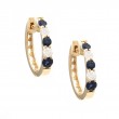 SAPPHIRE EARRINGS (YG)