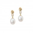 PEARL AND DIAMOND EARRING (14KYG)