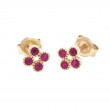 RUBY EARRING (14K)