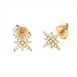 DIAMOND FASHION EARRING (14KYG)
