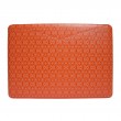 Signature 13" Laptop Case