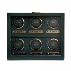 British Racing 6PC Watch Winder