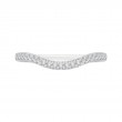 Euro Shank Diamond Wedding Band in 14K White Gold