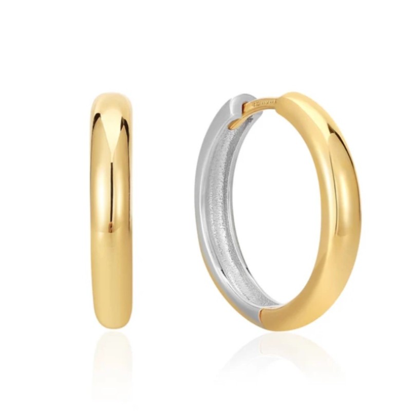 Two Tone Hoop Earrings