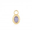 Gold Oval Blue Agate Earring Charm