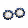 14kt Yellow Gold Royal Blue Kyanite and Pearl Earrings