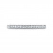Diamond Half-Eternity Wedding Band in 14K White Gold
