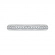 Diamond Half-Eternity Wedding Band in 14K White Gold