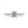 Round Diamond Engagement Ring in 14K White Gold