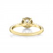 Round Cut Classic Hidden Halo Engagement Ring - Harmonie