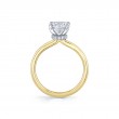 Round Cut Solitaire Hidden Halo Collar Engagement Ring - Nova