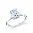 Emerald Cut Solitaire Hidden Halo Engagement Ring - Carter