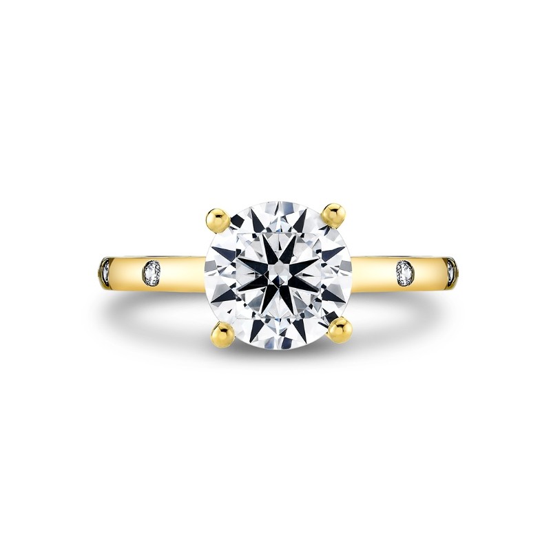 Iconelle Flush Set Round Engagement Ring - Sedona