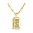 Diamond Medallion Alphabet Pendant Link Necklace, G