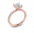 Delicate Classic Engagement Ring