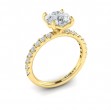 Delicate Classic Engagement Ring
