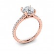 Classic Cathedral Engagement Ring with a Hidden Halo