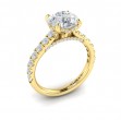 Timeless Cathedral Engagement Ring with Hidden Halo