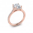 Graceful Halo Oval Engagement Ring