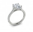 Graceful Halo Oval Engagement Ring