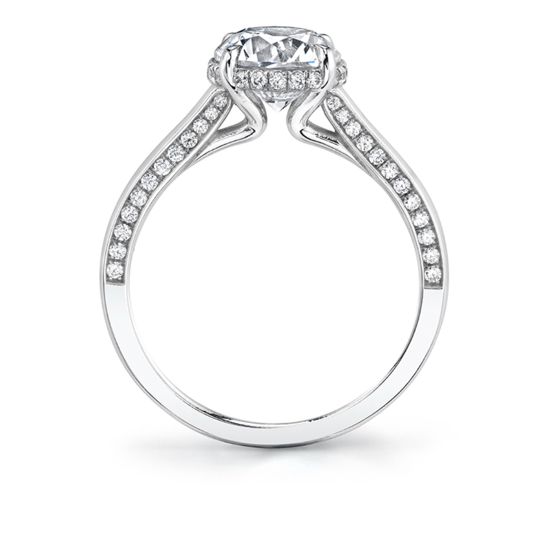 Round Cut Hidden Halo Engagement Ring with Diamond Profile - Calina
