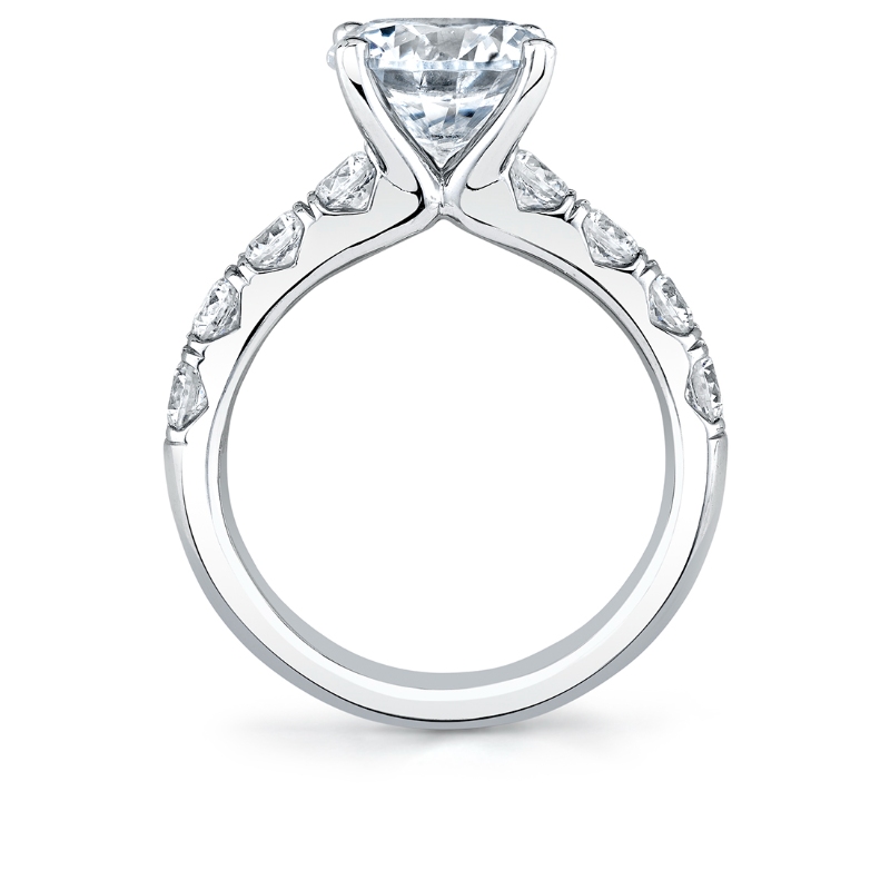 Round Cut Thick Band Classic Engagement Ring - Dariana